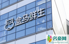 盒马会员88折能买哪些东西 盒马鲜生买什么好