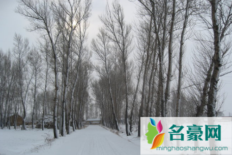 2021年东北三省几月份开始冷3