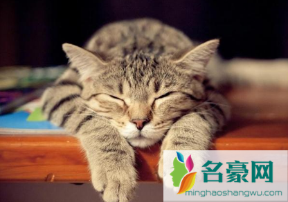秋乏睡不醒怎么办 1