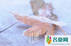 霜降是不是就开始下霜了 到了霜降一定会降霜吗