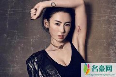 张柏芝仙人洞相册 如果没有王婆飞机合照也许谢仍