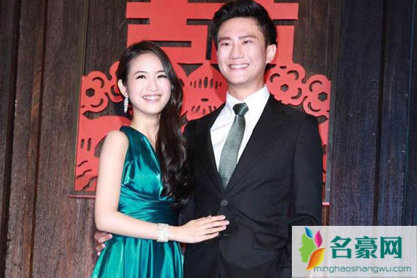 林依晨老公是谁 结婚那么久也不要孩子?