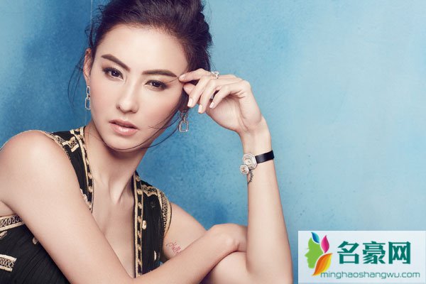 张柏芝黑森林绝版 做妈妈她是合格的但是做老婆就差劲一点了