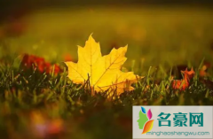 今年秋天比去年热的长吗 秋天天气怎么样
