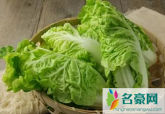 夏种大白菜为啥不包心 种白菜要注意什么