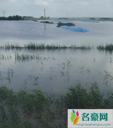 2021齐齐哈尔洪水严重吗2