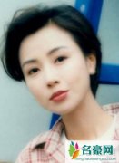 袁洁莹年轻时最美图片 是真正的美女比范冰冰angl