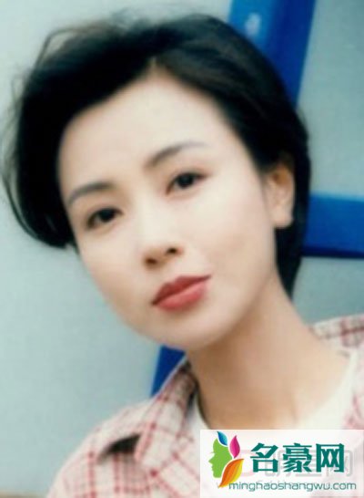袁洁莹年轻时最美图片 是真正的美女比范冰冰anglebaby之流漂亮的多