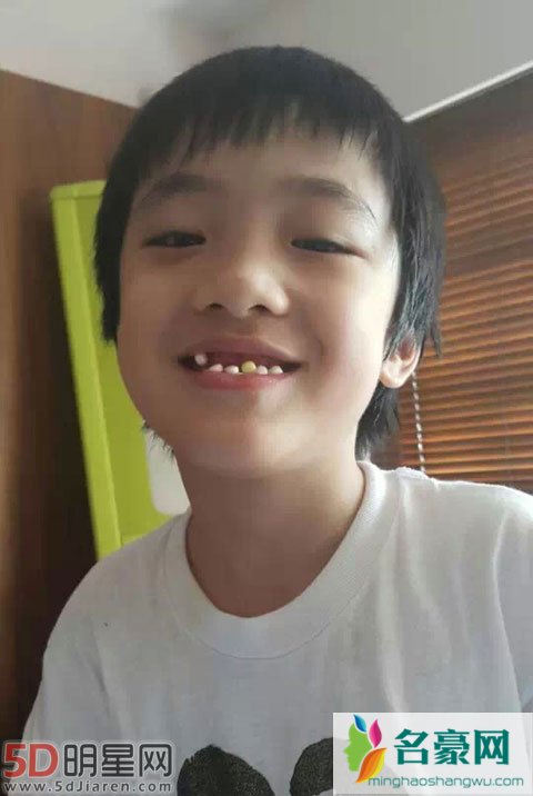 吴镇宇儿子怎么受伤的 受伤可以理解的主要是曹格太贱没道歉?