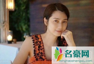 洪欣和刘銮雄分手费都给洪欣什么了 刘銮雄怎么评价洪欣