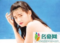 李丽珍现状情况过的好吗 老公变药渣真正美女与野