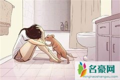 分手后千万别主动联系？挽回根据男友态度来决定怎