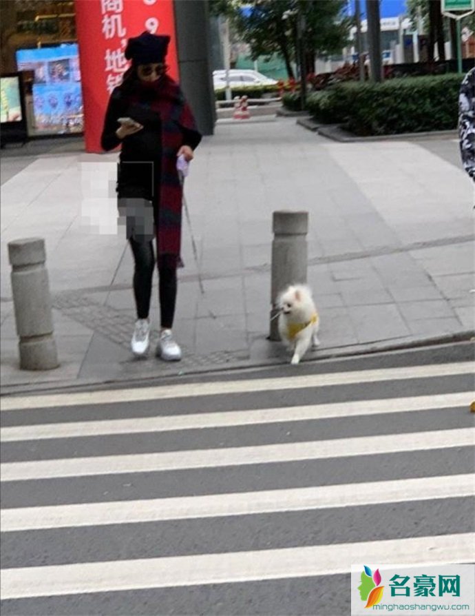 网友偶遇张馨予