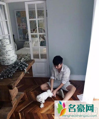 庾澄庆儿子哈利多大了 尹能静婚内出轨黄伟德导致离婚害了儿子?