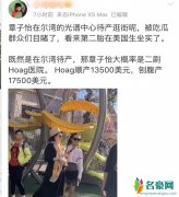 章子怡美国待产 具体始末曝光揭露章子怡二胎究竟