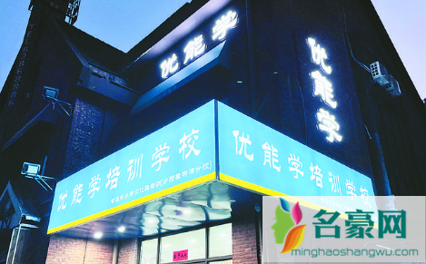 双减政策可以上网课吗2