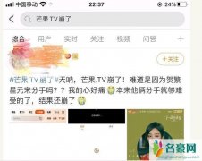 芒果TV崩了 揭露芒果TV崩了跟贺繁星元宋分手有什么