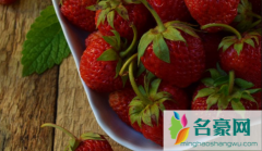 甜宝草莓苗如何管理 自己种甜宝草莓要注意什么