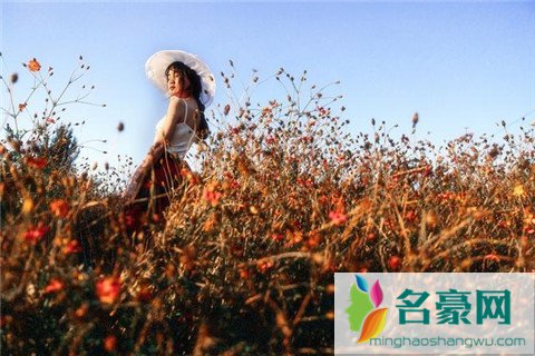 男人出轨回归期1
