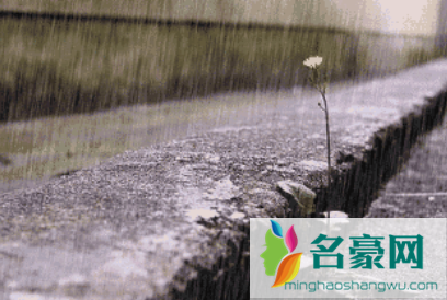 2022年春季雨水多吗 1