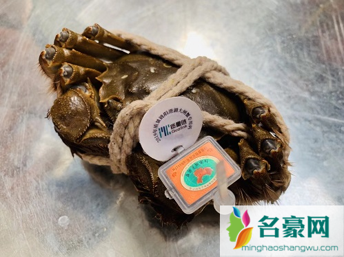 阳澄湖大闸蟹都有吊牌吗2
