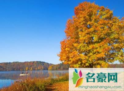 10月份的南京冷吗2