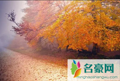 10月份的南京冷吗3