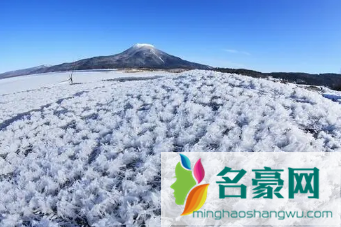 南京2022年冬天最冷多少度 3