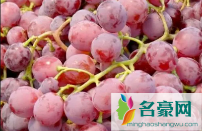 红提变软是坏了吗2