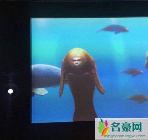 周杰伦自黑毫不手软 把自己P成美人鱼实在太好笑了