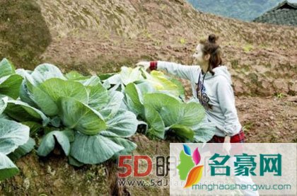 景甜加盟真人秀变身大姐姐十分暖心 网友表示非常期待