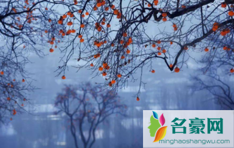 霜降是在什么时候开始的20223
