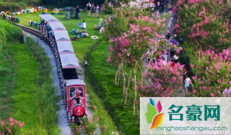 2021武汉乡村旅游惠民券哪些景点免费3