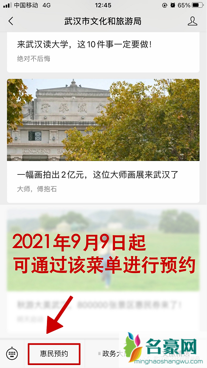 2021武汉乡村旅游惠民券什么时候预约3