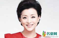 杨澜的前夫是谁 揭露最火的知性主持人杨澜感情婚