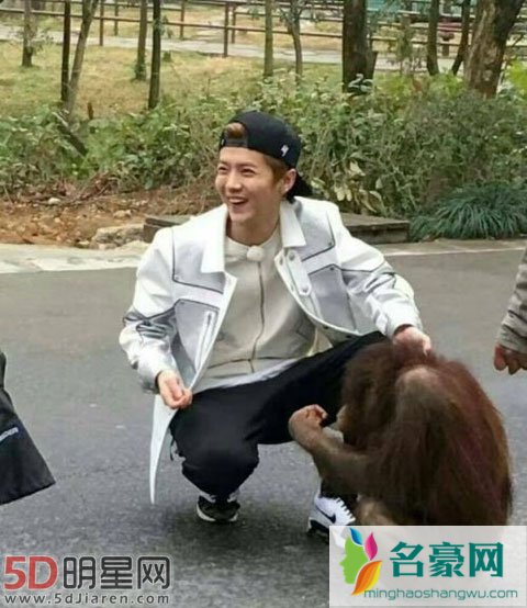 《奔跑吧》明晚开跑 鹿晗成长敢怼队友