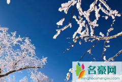 哈尔滨今年什么时候下雪2021 哈尔滨一般几月开始下