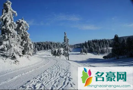 重庆冬天最冷是几月份20222