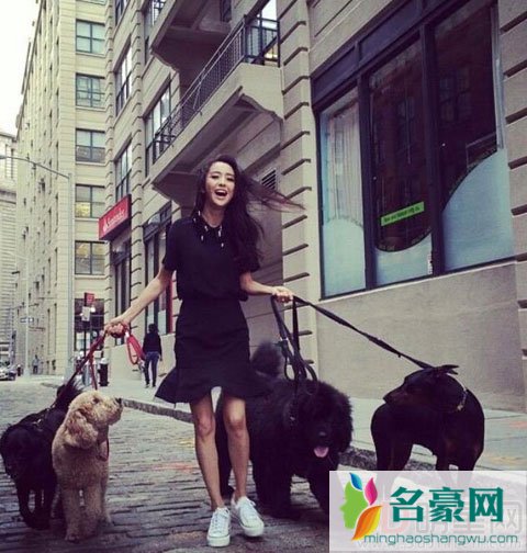 陈思诚独自买婴儿产品 疑似回归家庭当奶爸