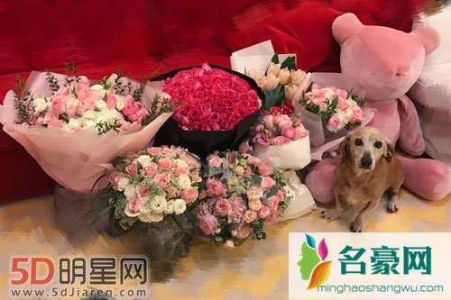 张梓琳怀抱女儿爱犬 眯眼微笑愿望