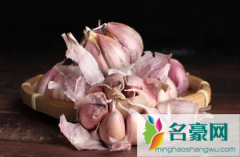 大蒜菌核病是怎么引起的 自己种大蒜如何预防菌核