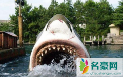 北京环球影城有大白鲨项目吗 北京环球影城有什么