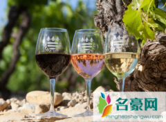 剩下的葡萄酒如何利用 开瓶的葡萄酒怎么保存