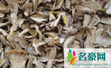 牛肝菌有没有毒1