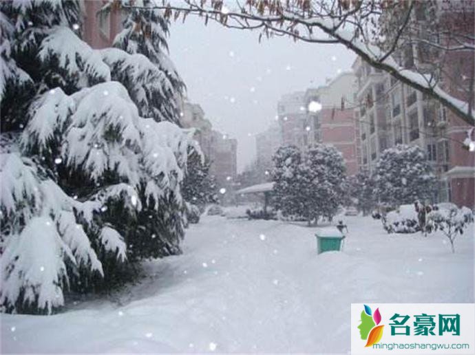 齐齐哈尔暴雪围城