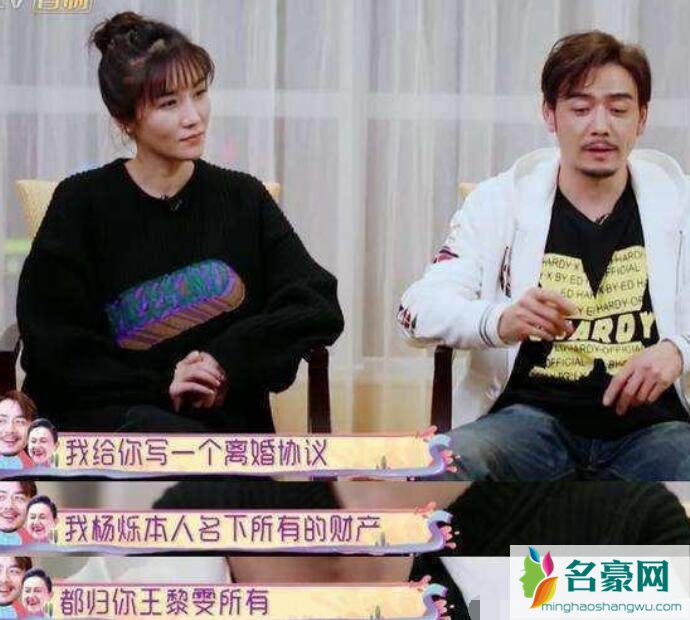 杨烁离婚协议写了什么
