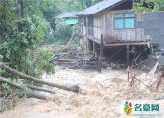 武夷山暴雨中猴子蹲桥上避嫌 网友称赞这猴子成精