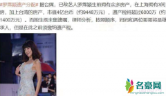 罗霈颖遗产分配 揭露罗霈颖遗产分配情况怎样谁将