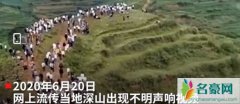 贵州山中龙吟为鸟类发出声源 神秘叫声引发三百多