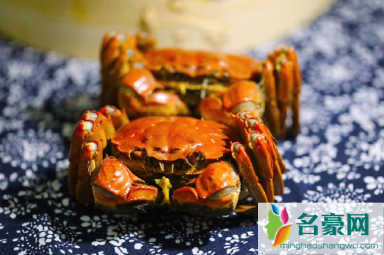 蟹券能全要公的吗1